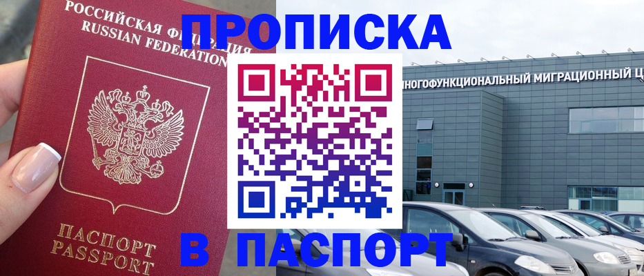 прописка для школы в Северске